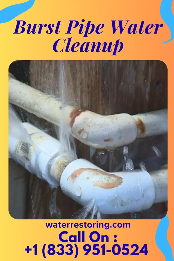 Burst Pipe Water Cleanup in Fern Acres, HI