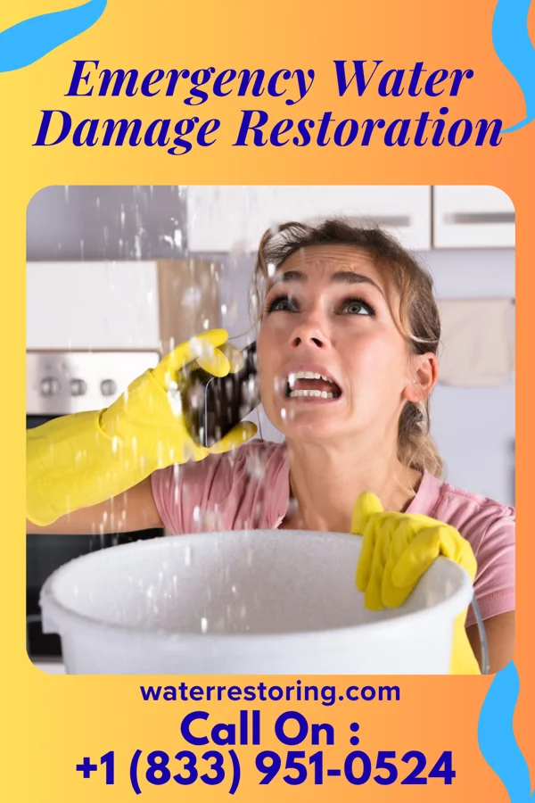 Emergency Water Damage Restoration in Fern Acres, HI