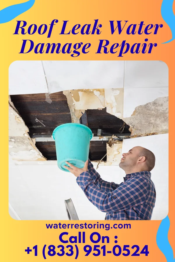 Roof Leak Water Damage Repair in Fern Acres, HI