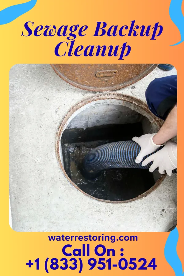 Sewage Backup Cleanup in Fern Acres, HI