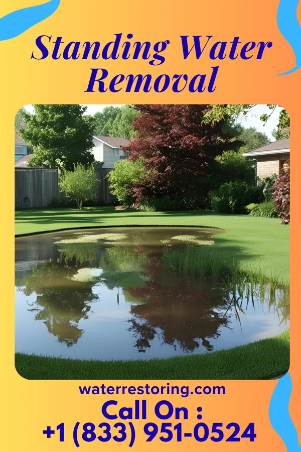 Standing Water Removal in Fern Acres, HI